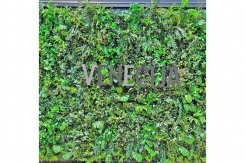 125 zeleni zidovi dekoracija